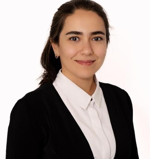 Photo of Atefeh Nasrollahi