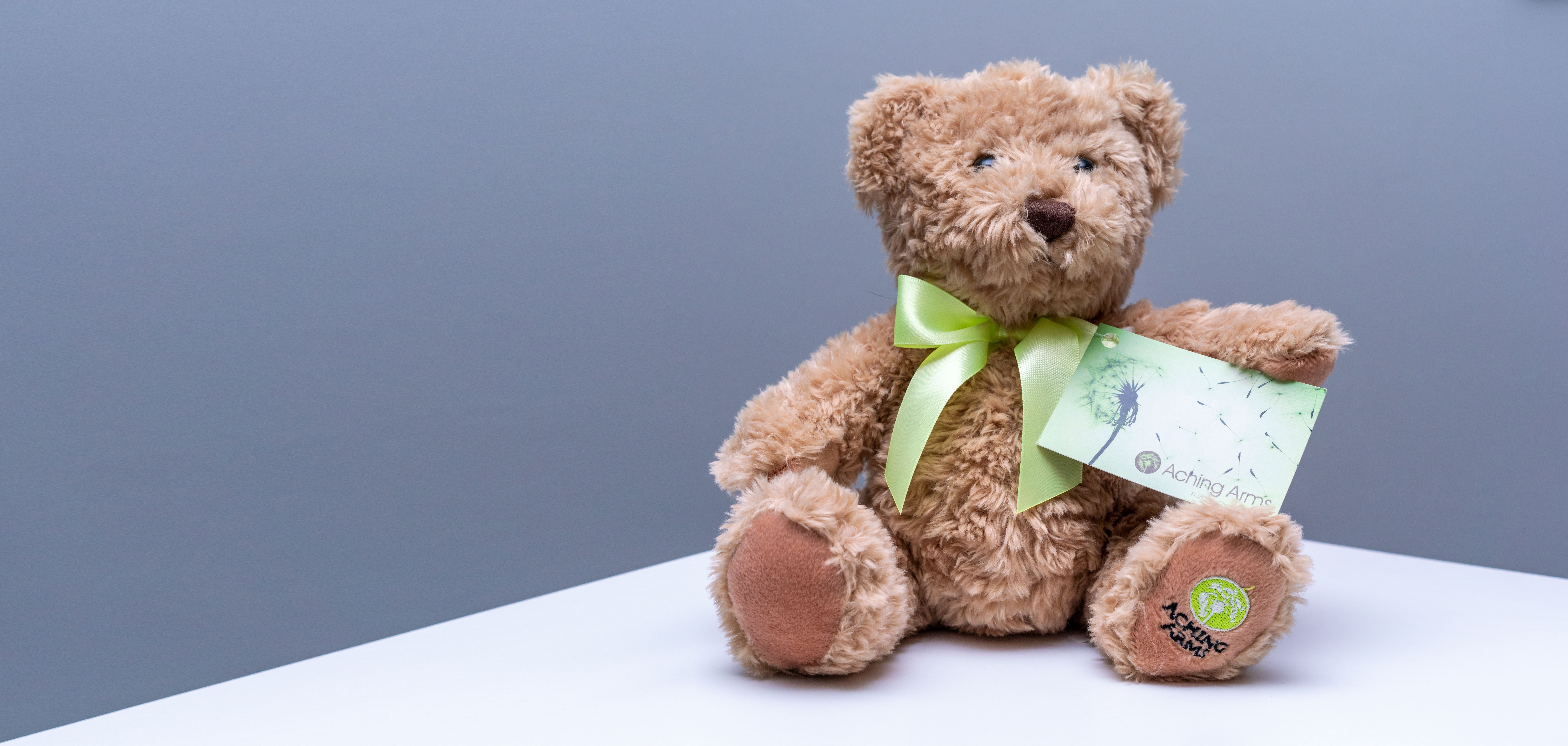 Aching Arms teddy bear