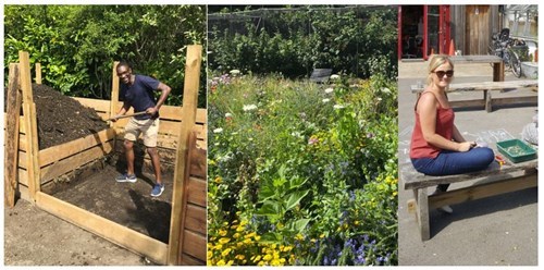 2017 volunteer week 2