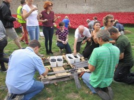 Tower of London poppies