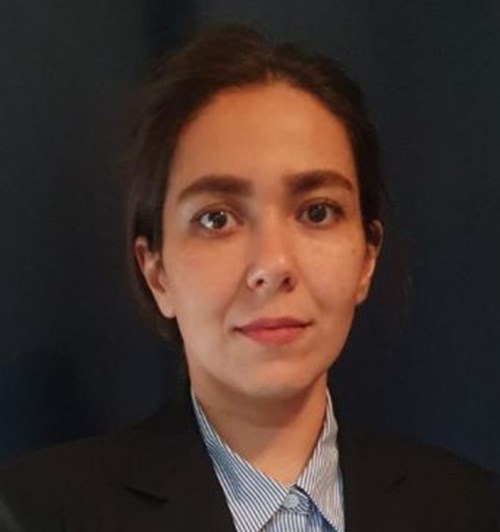 Photo of Atefeh Nasrollahi